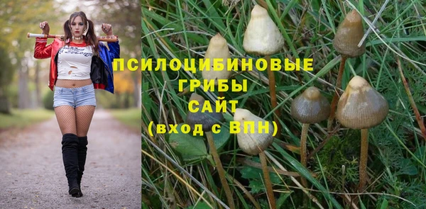 бутират Алзамай