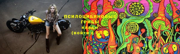 бутират Алзамай